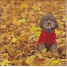 Guardanapo Autumn Stroll