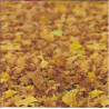 Guardanapo Autumn Stroll