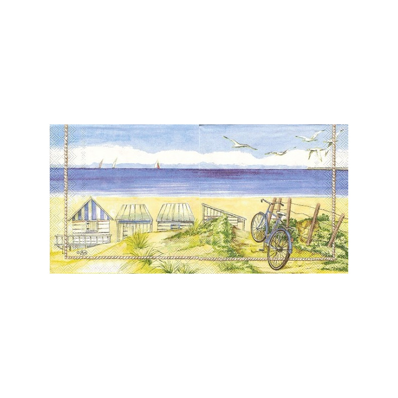 Guardanapo Beach Bicycle