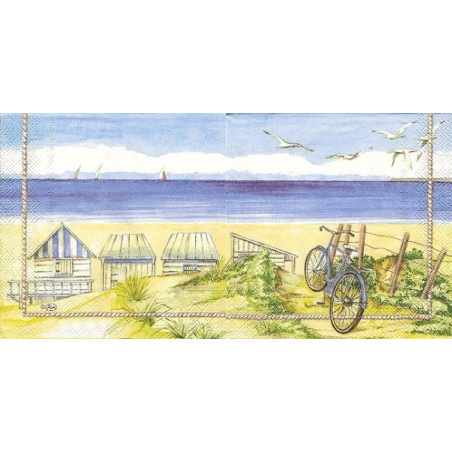 Guardanapo Beach Bicycle