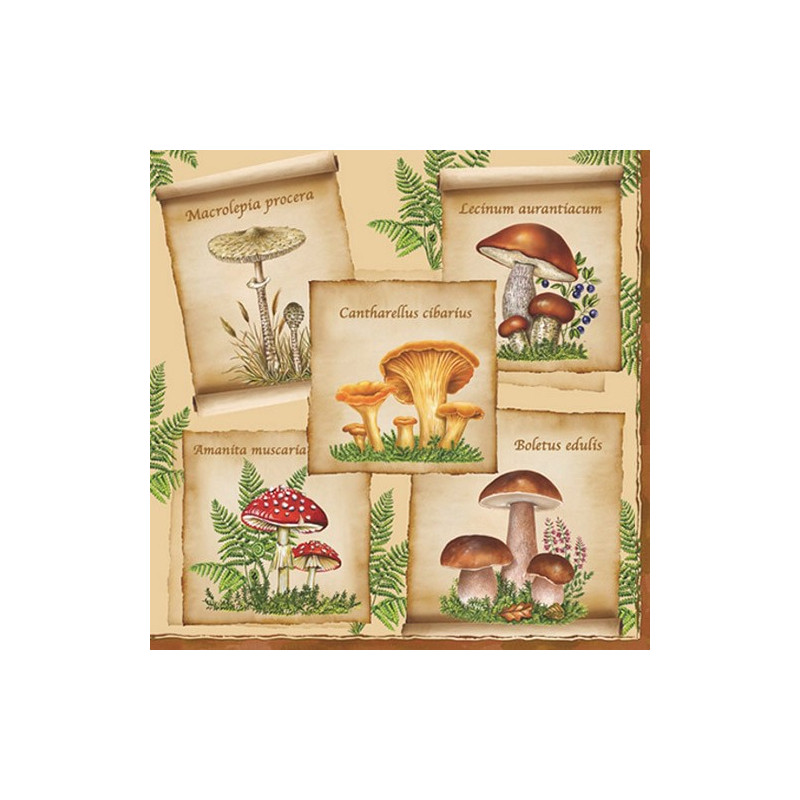 Guardanapo Mushrooms