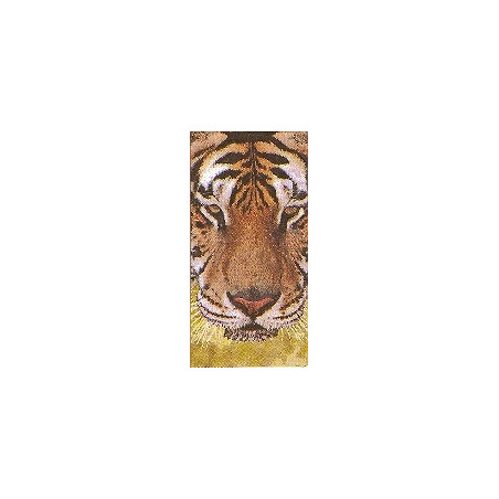 Lenço Tiger