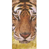 Lenço Tiger