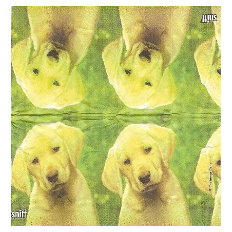 Lenço para Decoupage - Valentina